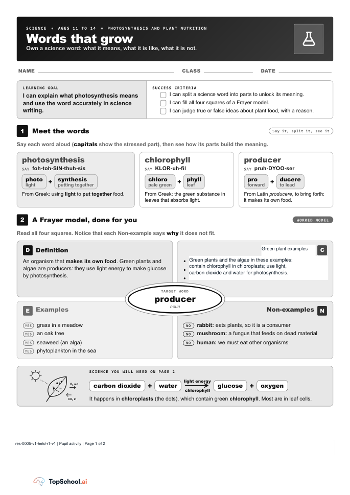 Worksheet page 1: word parts for photosynthesis, chlorophyll and producer, a worked producer model, and the photosynthesis word equation.