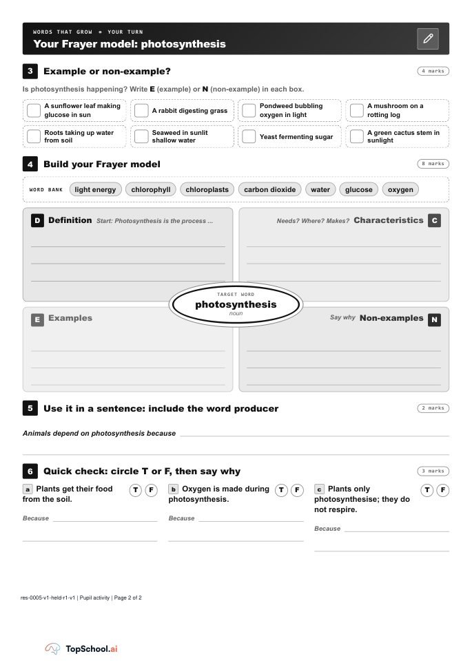 Worksheet page 2: examples to classify, a word bank and blank Frayer model, a sentence task, and three true-or-false questions.