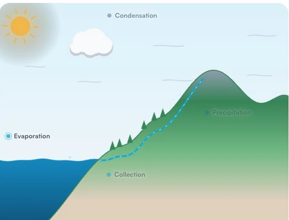 Water cycle: an interactive model: teaching visual from the material