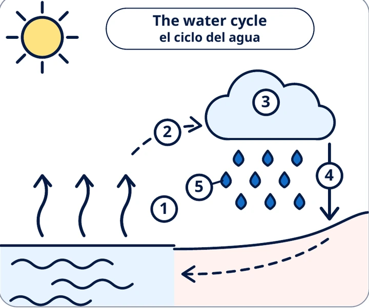 The water cycle in English, Spanish and your language: teaching visual from the material